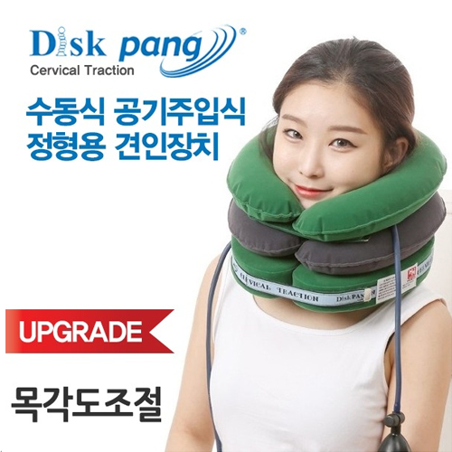 디스크팡 써비칼 / 목견인기